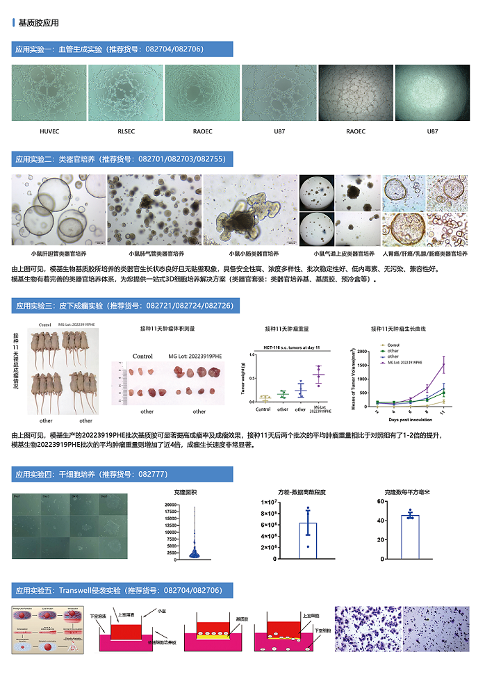 基质胶产品宣传单页-背面 - 副本.png